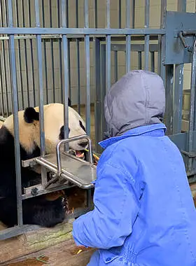 Chengdu