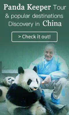 Panda Tours