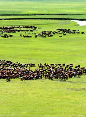 6-day China Grassland & Desert Discovery