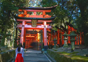 23-day East Asia Discovery - China & Japan