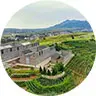 Xian Jade Valley Vineyard