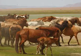 Mongolian Horses