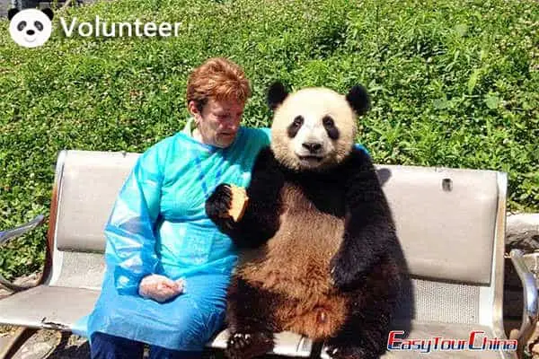 Dujiangyan Panda Base Volunteer Tour