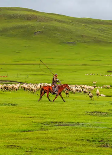 5-day Photography Tour in Inner Mongolia