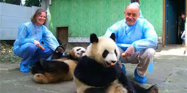 4-day Chengdu Tour for Seniors