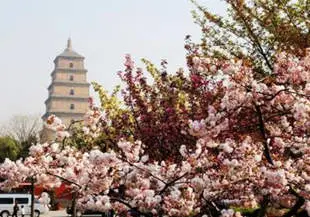18-day Impressive Asia Travel to Thailand & China