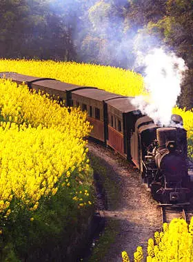 Train Lover's Tour of China