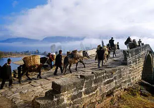 4-day Birthplace of Puer Tea Tour