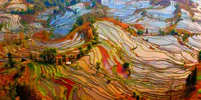 6-day Yuanyang Rice Terraces Tour