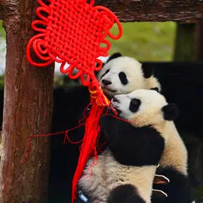 Chengdu