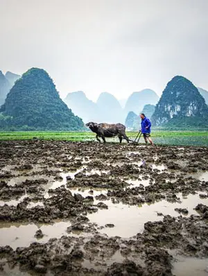 Guilin Karst Mountains