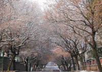 Badaguan Scenic Area