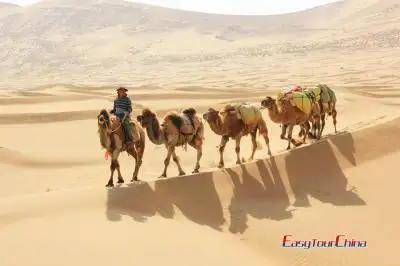 Silk Road & Badain Jaran Desert Tour