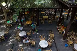 Tea Destinations in China