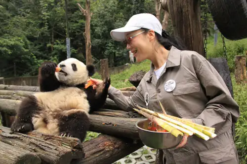 Escorted Tours to China