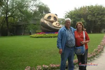 Chengdu Travel Tips for Senior Travelers