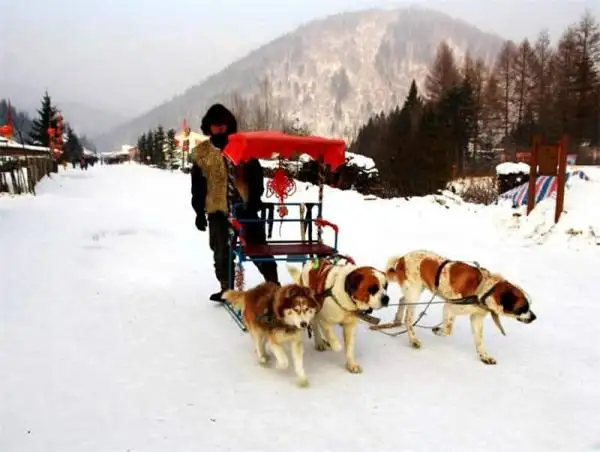 China Snow Town Winter Activities