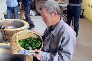 China Tea Impression Tour
