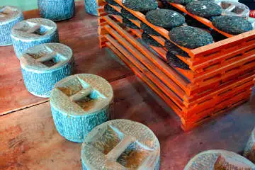 Tour to Birthplace of Puer Tea