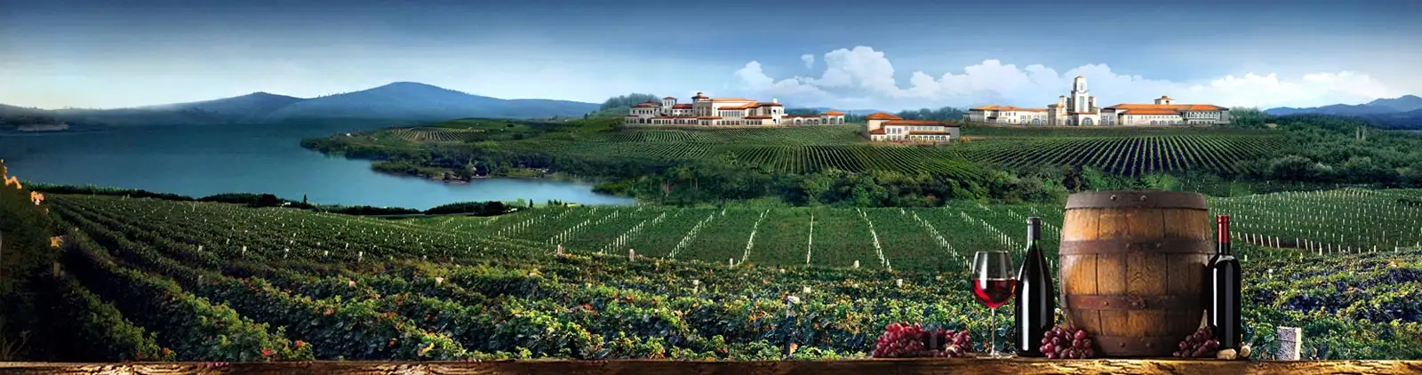 China Wine Tours