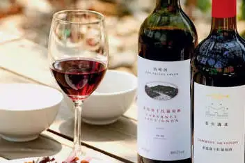Xi'an Wine Tour