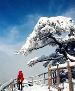 Yellow Mountain Winter
