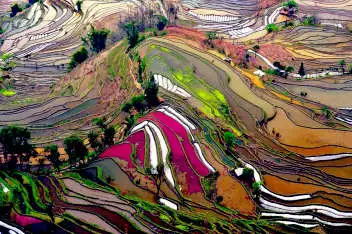 Yunnan
