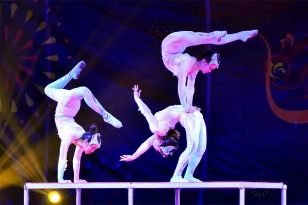 Beijing Acrobatics Night Show Bus Tour
