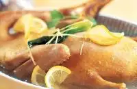lemon duck