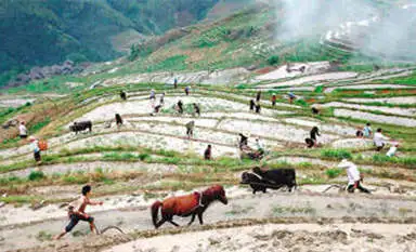More Ethnic Festivals in China