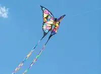 Weifang Tour with Kite Culture Exeperience