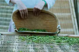 Chinese Tea Types