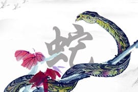 Chinese Zodiac Snake