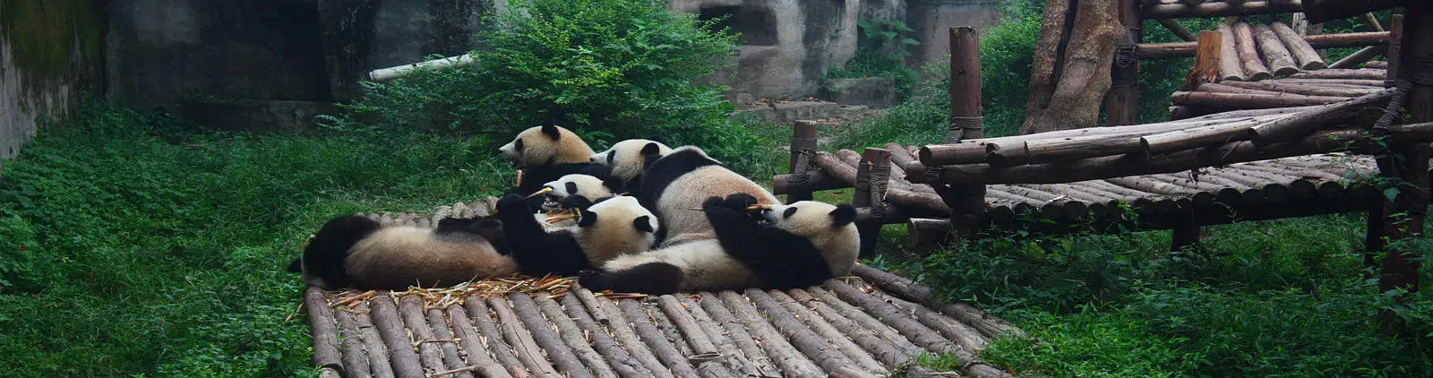 Best China Tours from Brazil