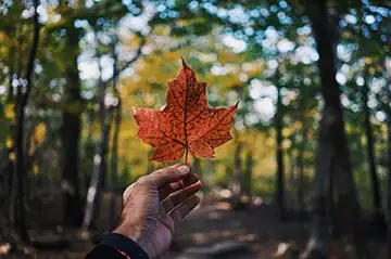 China Tours from Canada