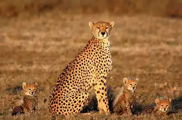 China Tours from South Africa