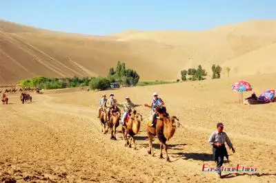 Visit Dunhuang desert with camel riding