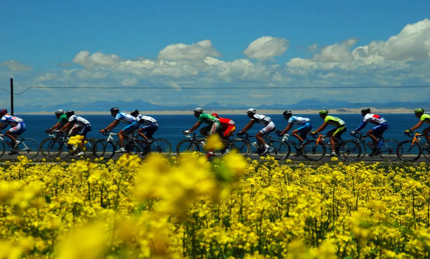 Cycling Qinghai Lake
