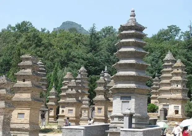 Dagoba Forest