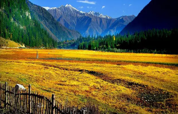 Trips in China