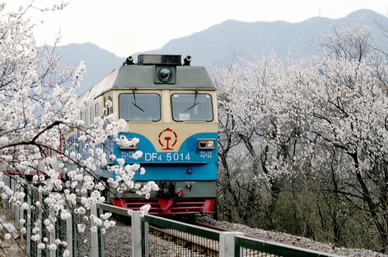China bullet train travel