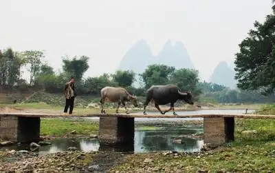 Yangshuo Village Tour plus Karst Landscape Exploration