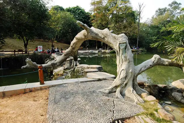 Guangxi Medicinal Garden
