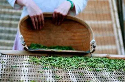Hakka Tulou Buildings Discovery – Also for Tea Culture Experience