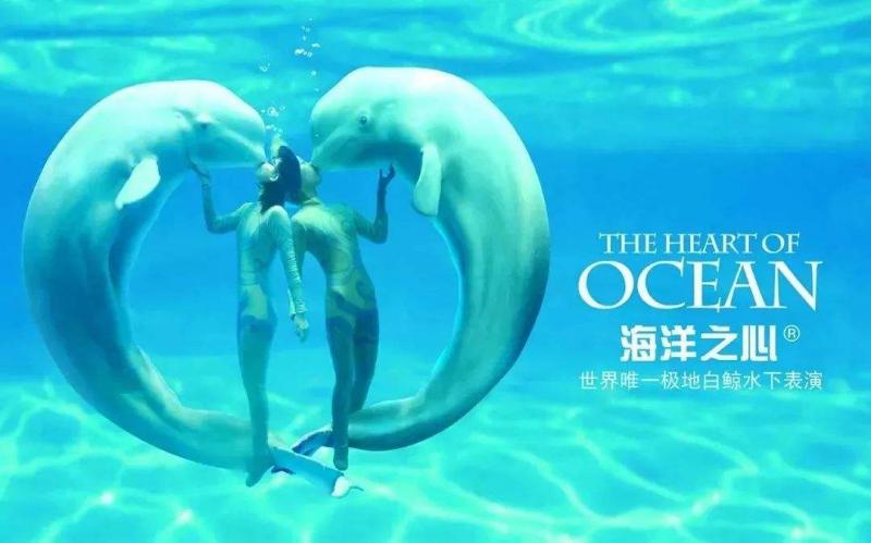 Harbin Polar Park White whale show