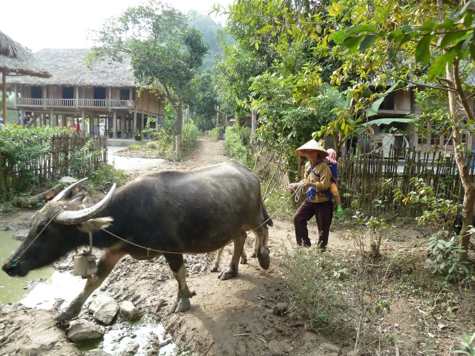Trung Do village
