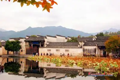 Huangshan Student Tour with Cultural Exploration
