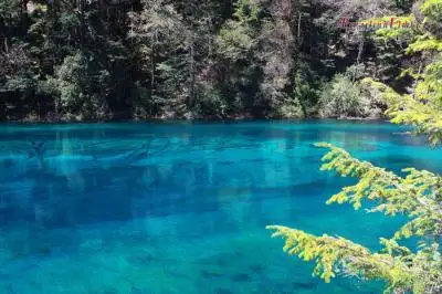Chengdu Jiuzhaigou Tour