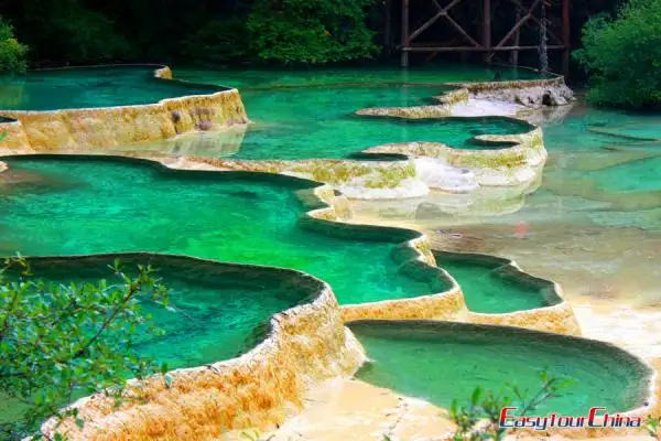 5 Days Chongqing Jiuzhaigou Tour