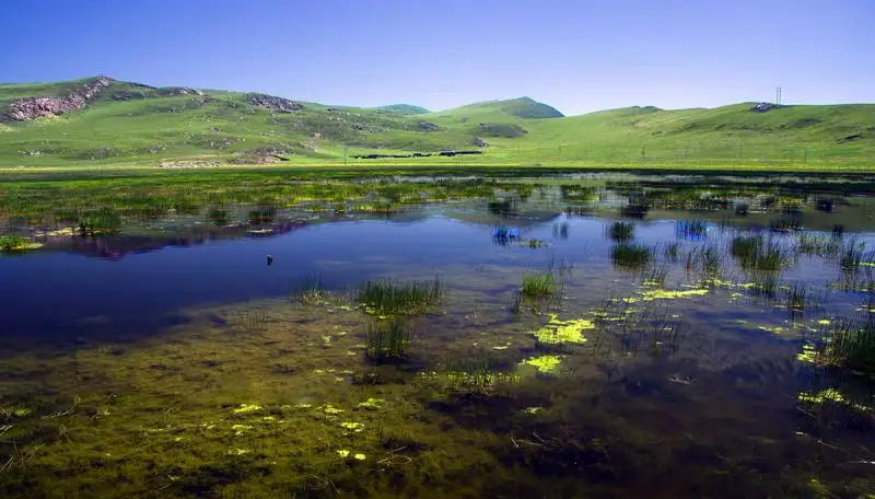 Langmusi Grassland